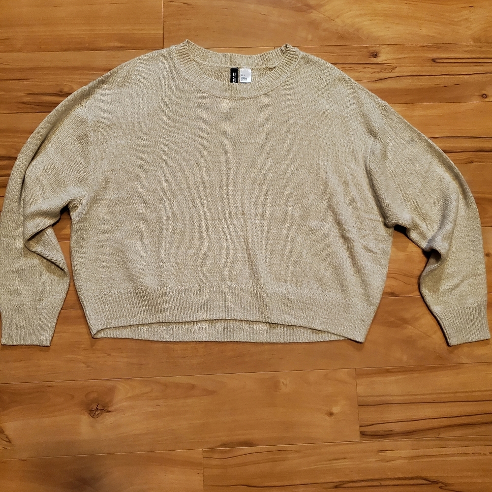 H&M Sweater